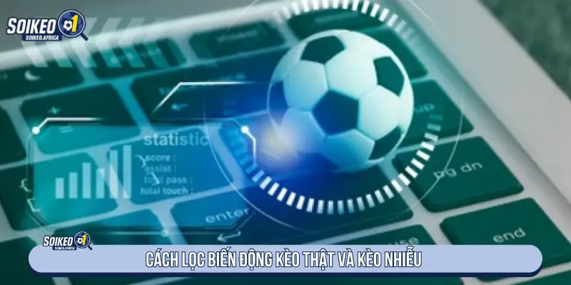 Lọc biến động tỷ lệ bền và biến động ngắn hạn