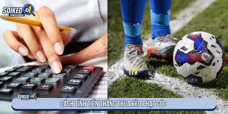 Soi Kèo Phạt Góc Là Gì? Cách Đọc Tổng Góc & Chấp Góc Cách đọc line tổng góc và chấp góc