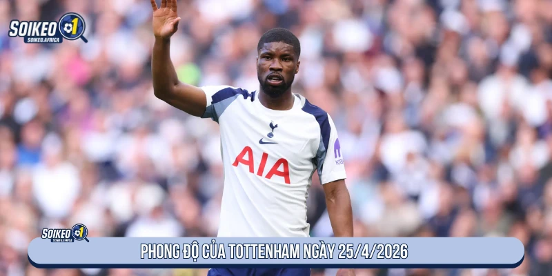 Soi Kèo Wolves vs Tottenham 21:00 Ngày 25/4/2026 Phong độ Tottenham trước trận Wolves ngày 25/4/2026