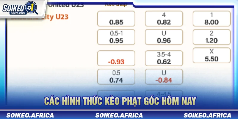 Các nhóm dữ liệu trong kèo phạt góc hôm nay