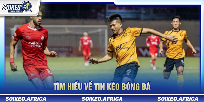 Phân tích bối cảnh khi đọc tin kèo bóng đá